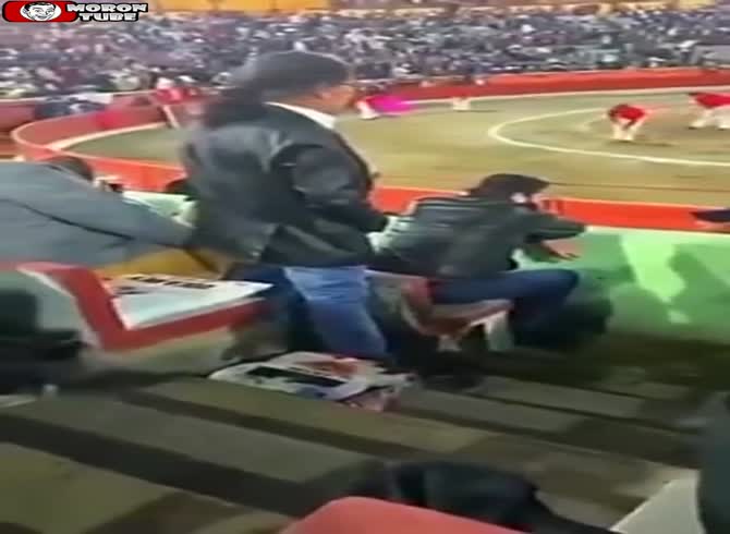 Video :A guy in the stands urinates right from his seat